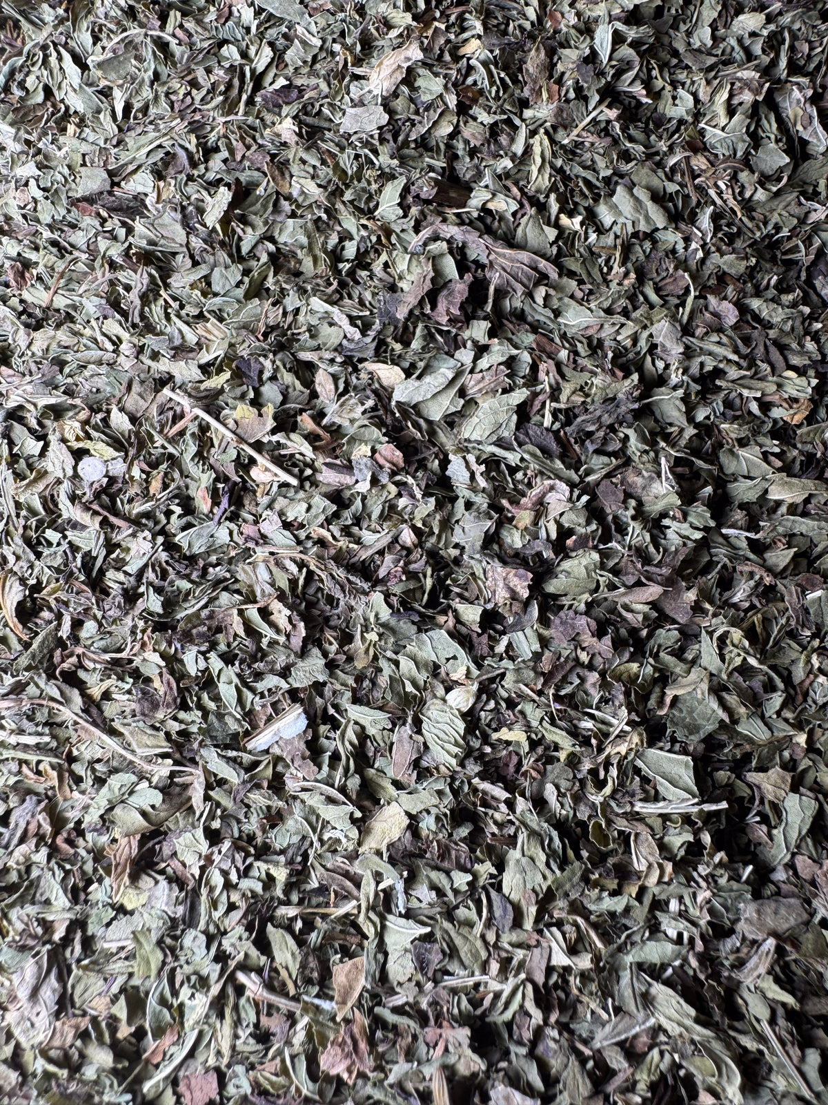 Mystic Mint Tea (Spearmint/Peppermint)