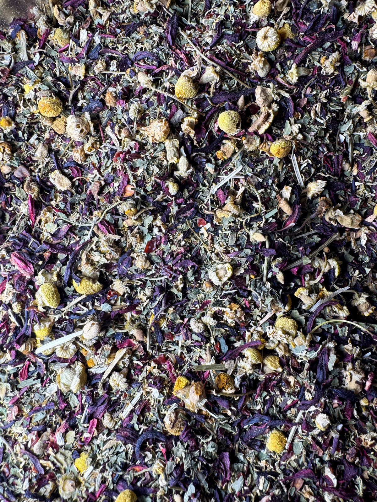 Oasis Herbal Tea (Electrolyte Support Blend)