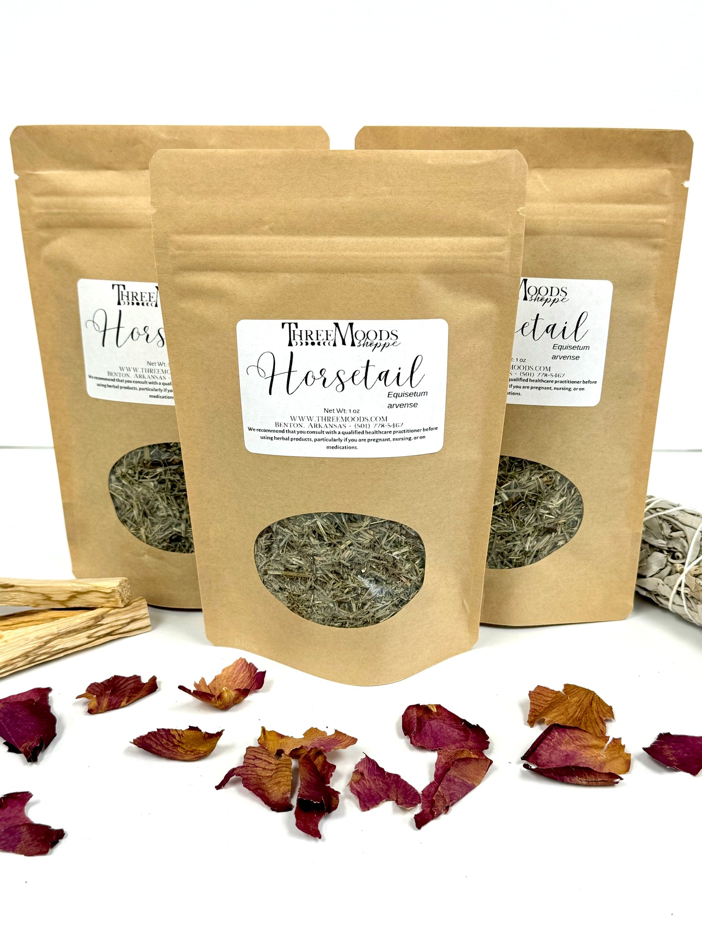 Horsetail (Shavegrass)