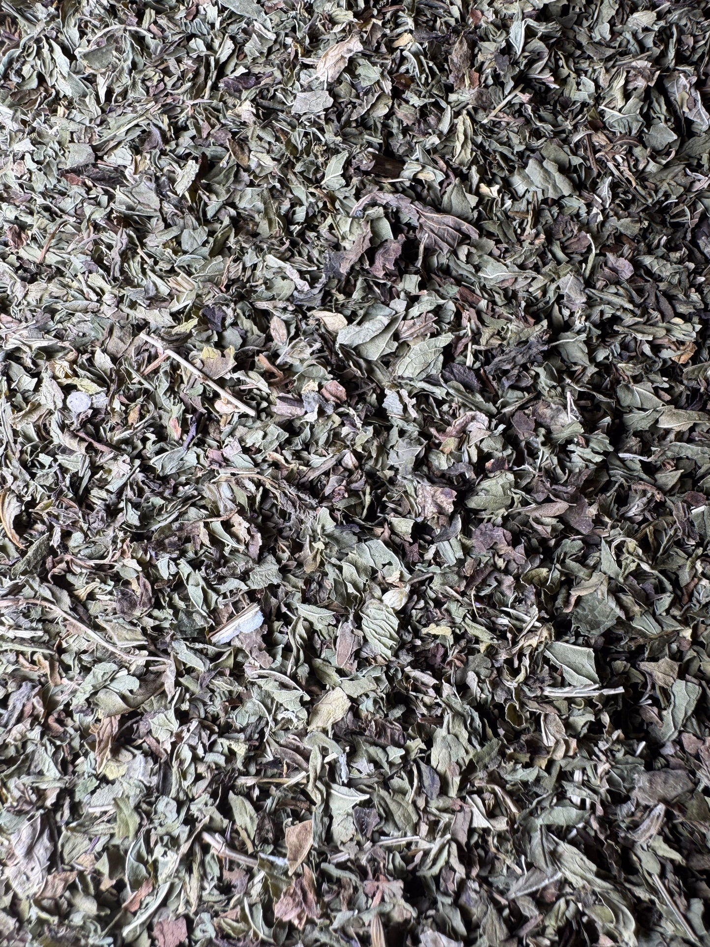 Mystic Mint Tea (Spearmint/Peppermint)