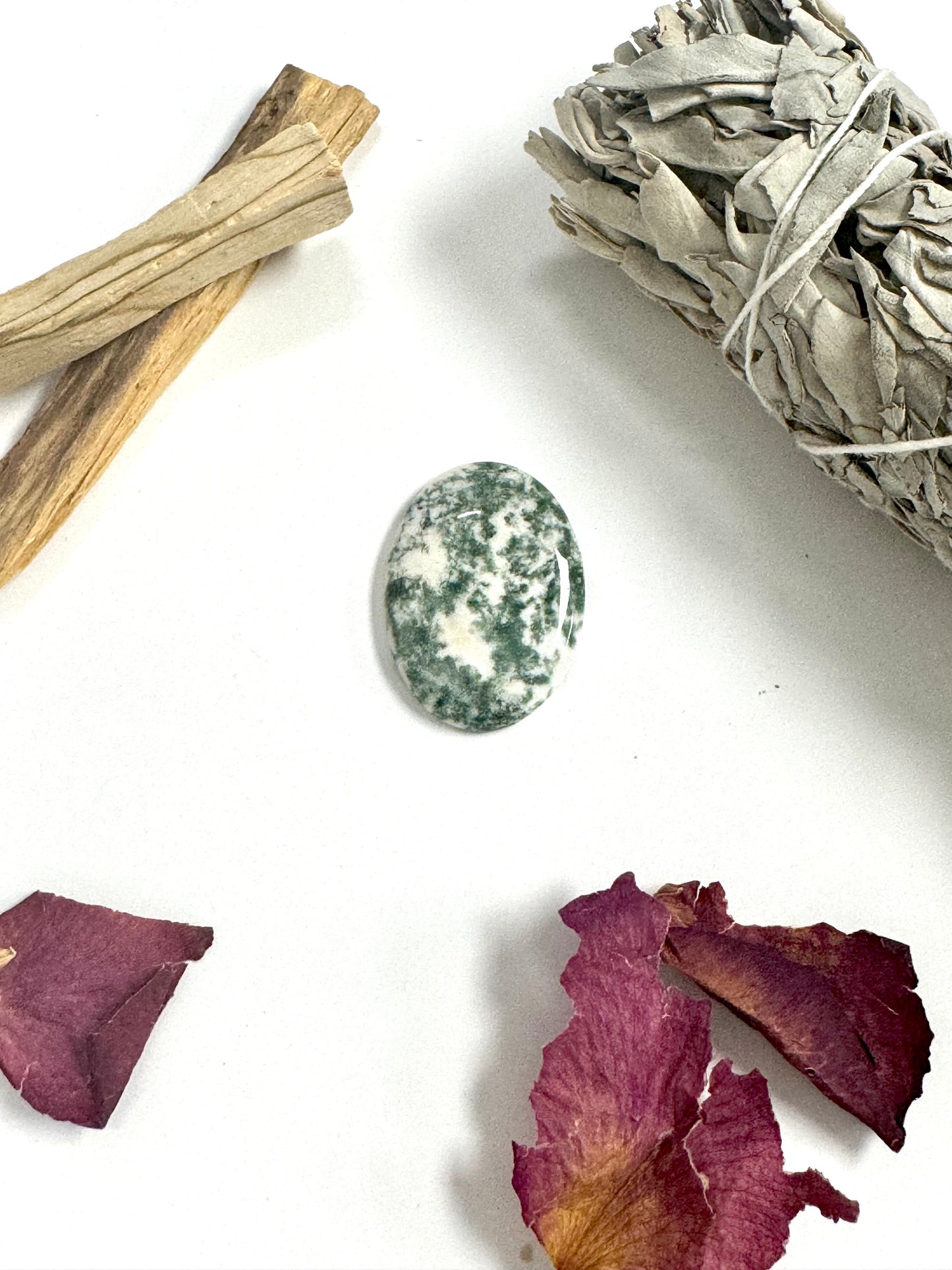 Tree Agate Cabochon