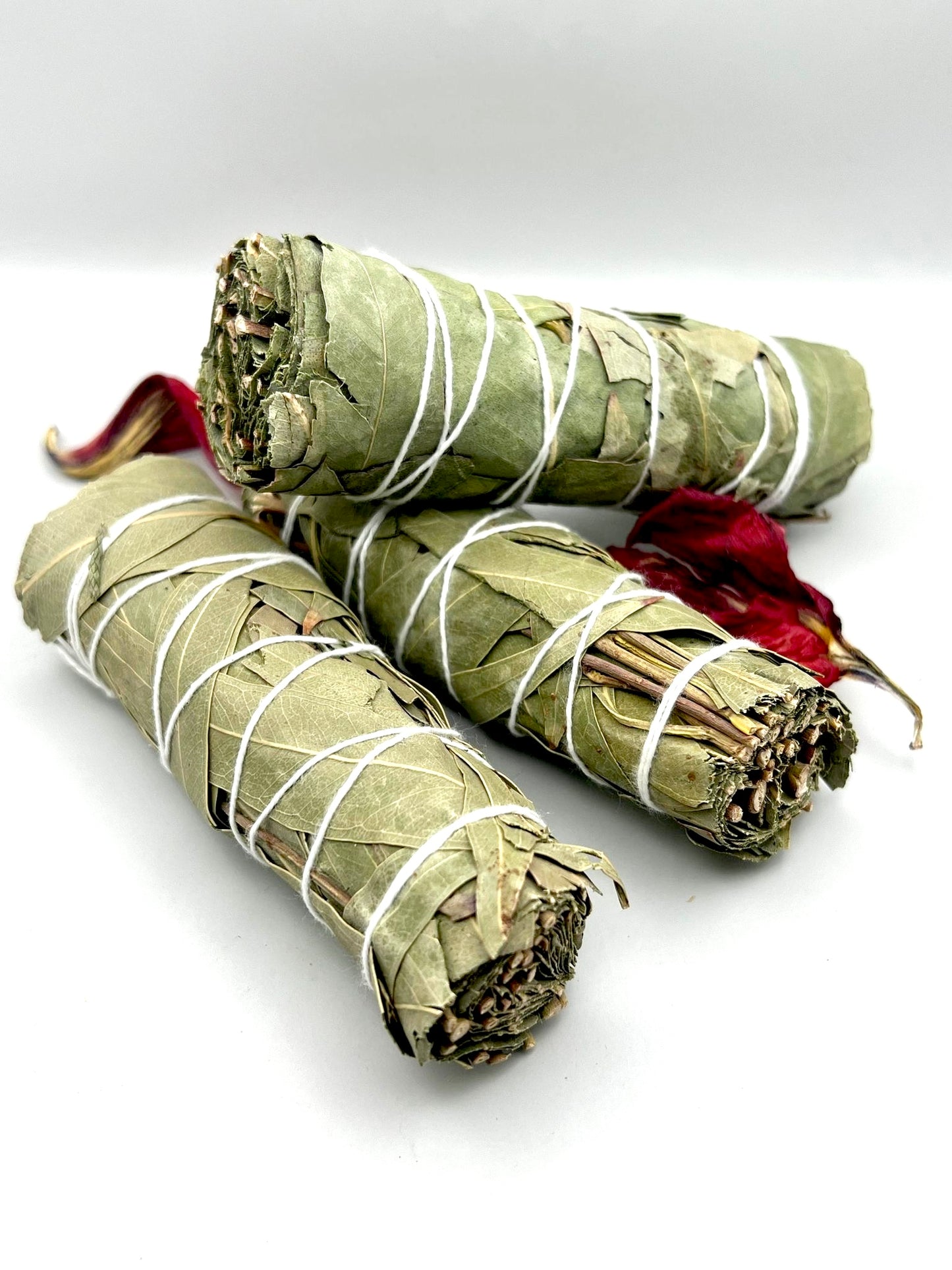 Eucalyptus Bundles