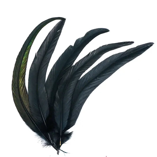 Black Feathers